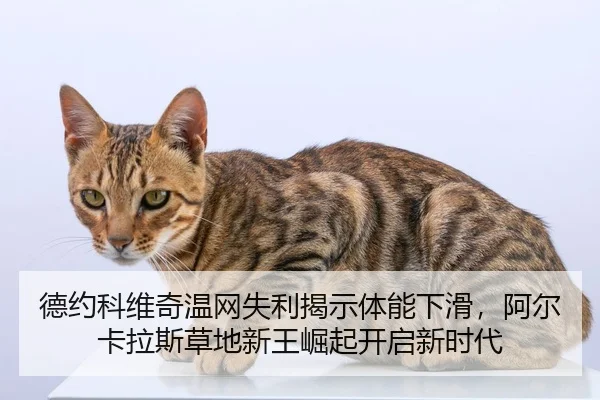 德约科维奇温网失利揭示体能下滑，阿尔卡拉斯草地新王崛起开启新时代